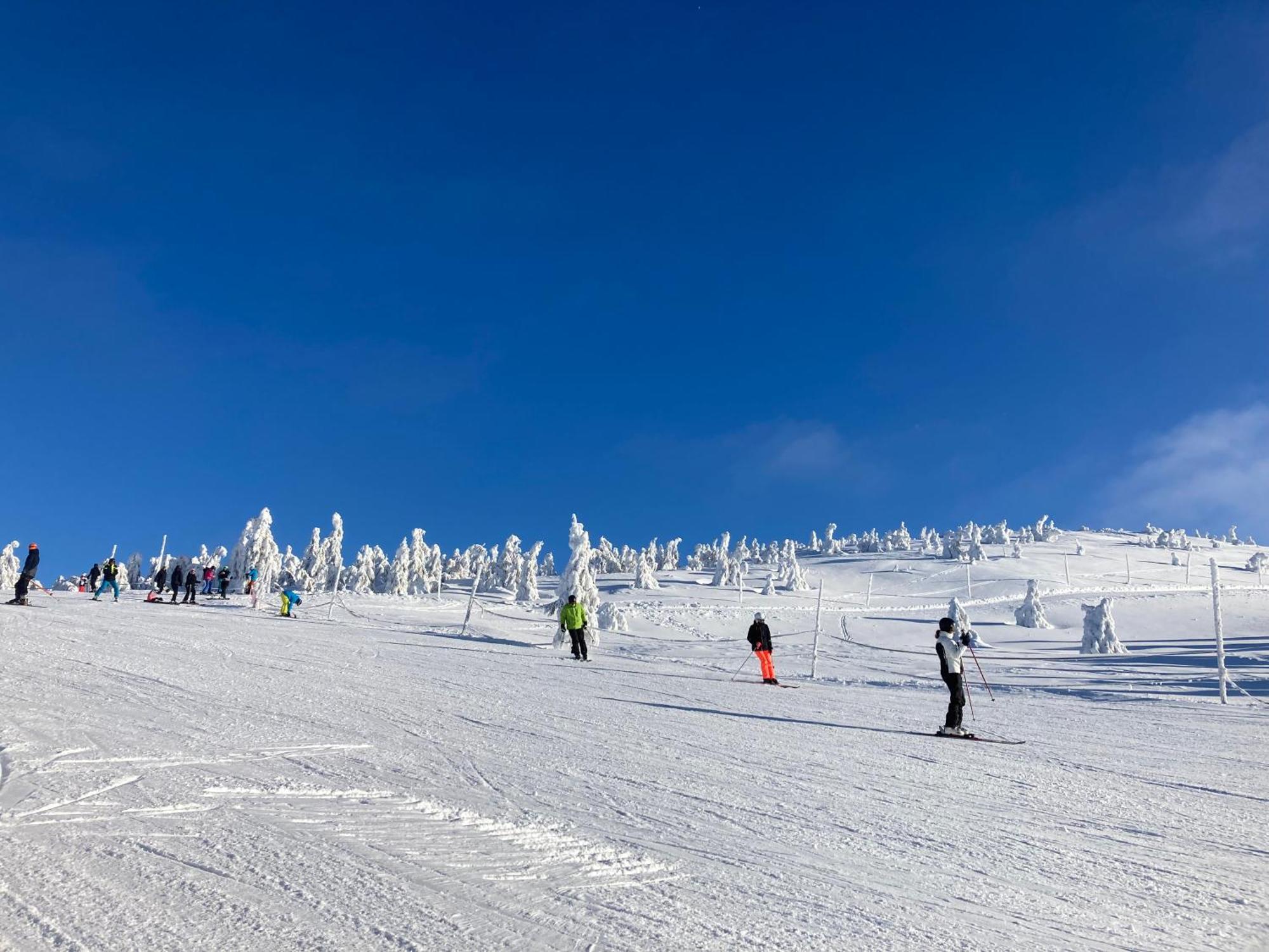 Krkonose Rokytnice 公寓 *